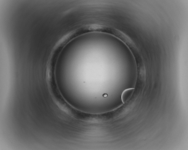 X0000113540732200909250926