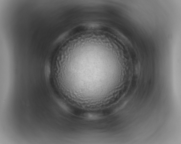 X0000113540733200909250926