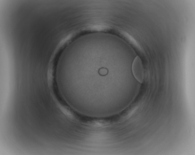 X0000113540736200909250926