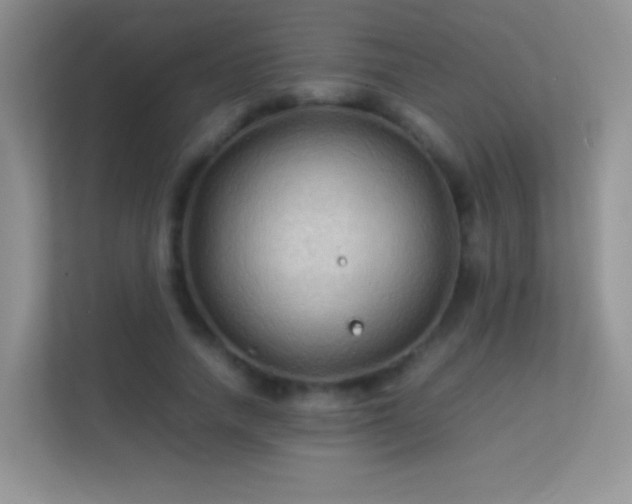 X0000113540738200909250926