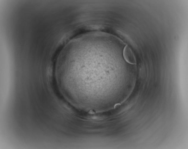 X0000113540739200909250926