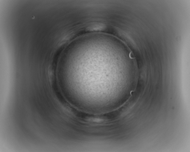 X0000113540743200909250926