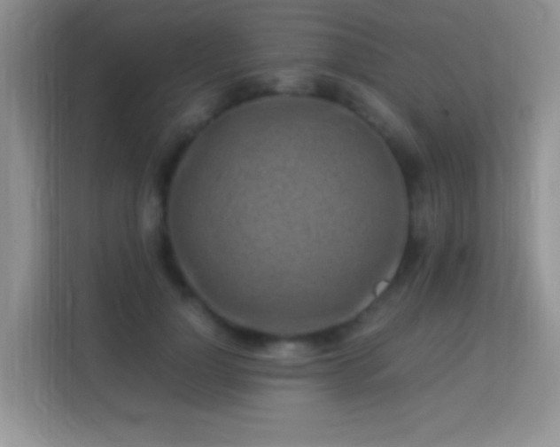 X0000113540748200909250926