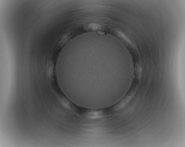 X0000113540760200909250926