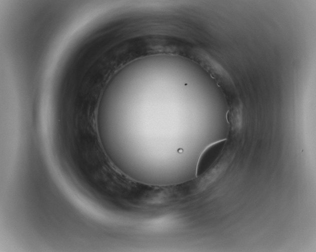 X0000113540764200909250926