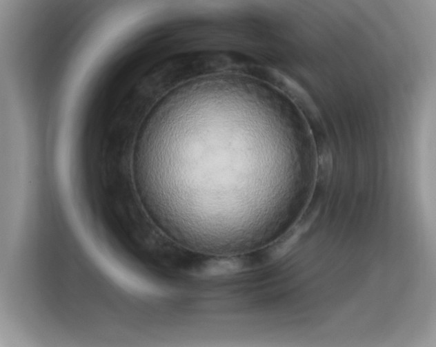 X0000113540765200909250926