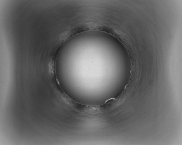 X0000113540768200909250926