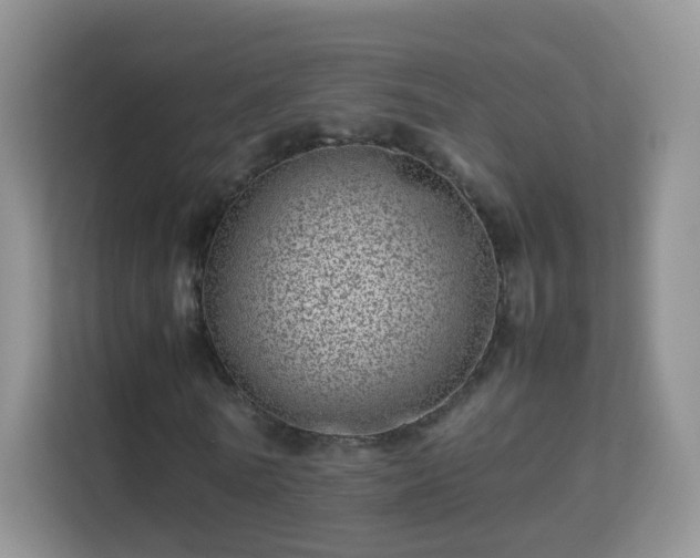 X0000113540770200909250925