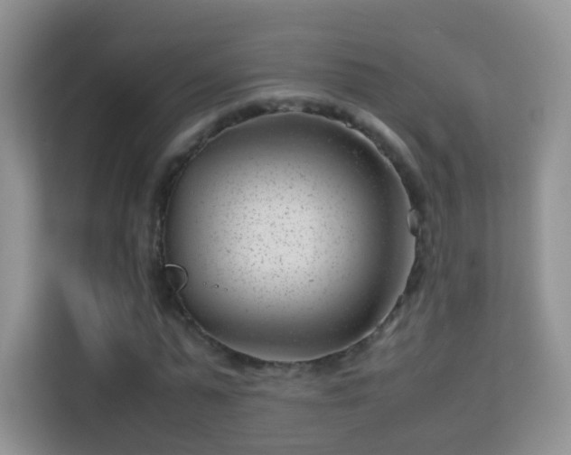 X0000113540775200909250925