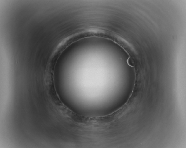 X0000113540776200909250925