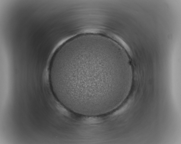 X0000113540779200909250925