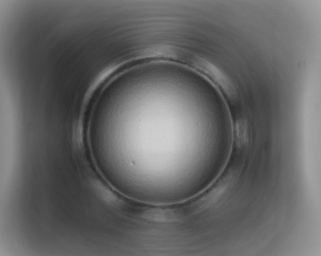 X0000113540780200909250925