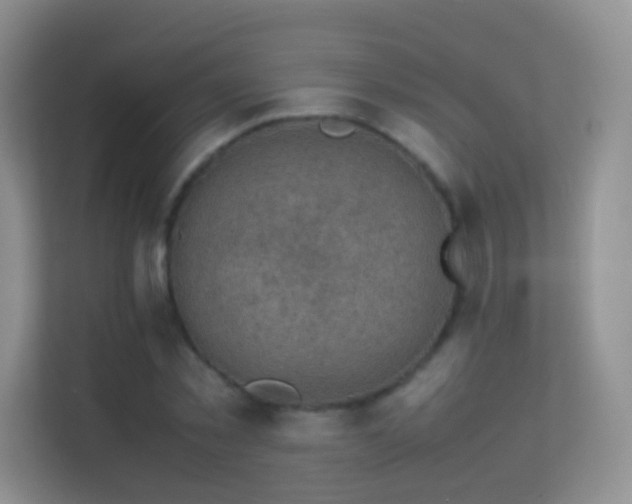 X0000113540781200909250925