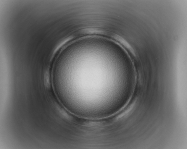 X0000113540782200909250925