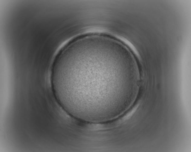 X0000113540783200909250925