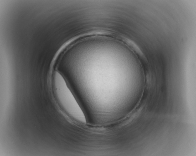 X0000113540784200909250925