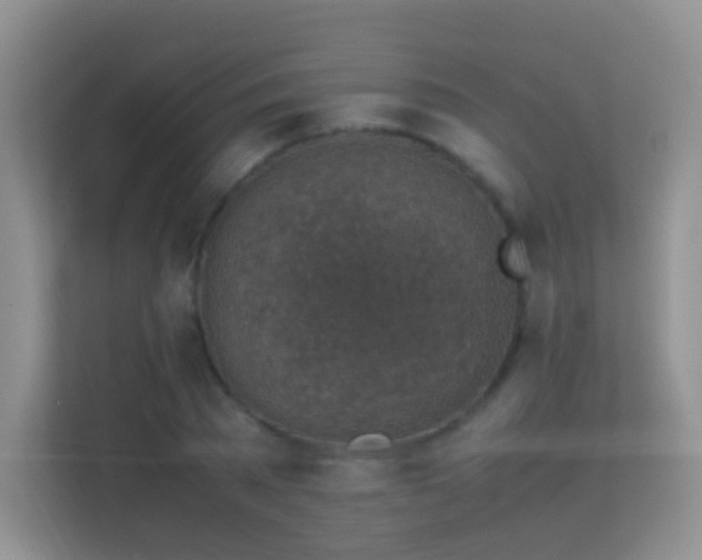 X0000113540785200909250925