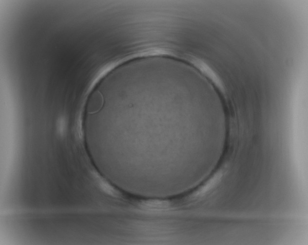 X0000113540789200909250925