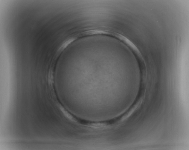 X0000113540793200909250925