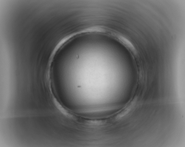 X0000113540800200909250925