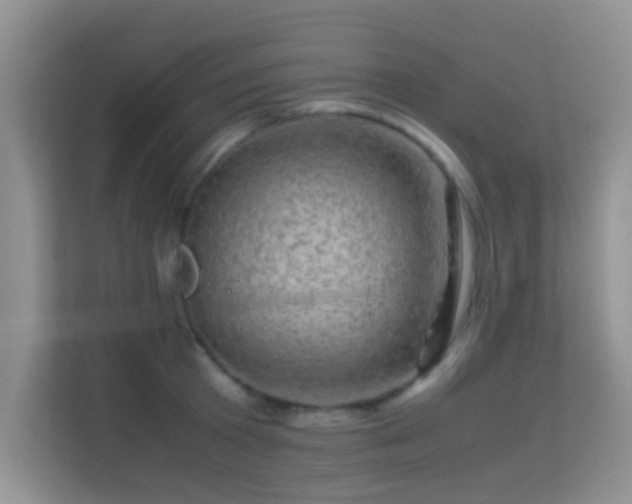 X0000113540801200909250925