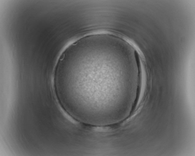 X0000113540805200909250925