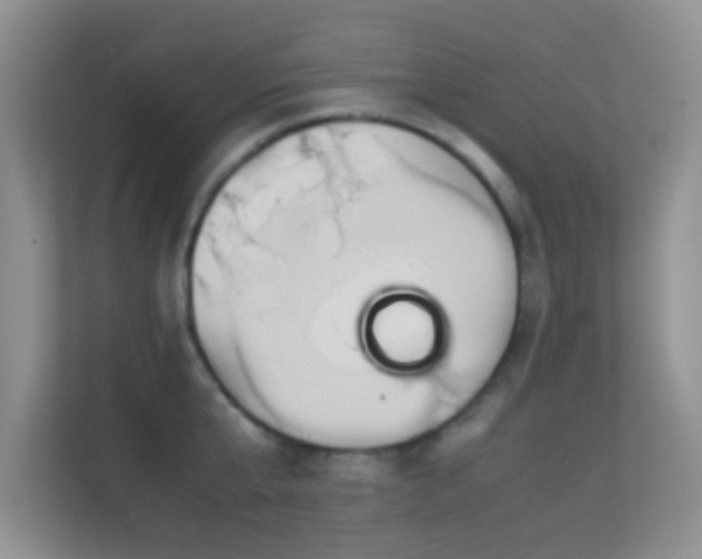 X0000113540807200909250925