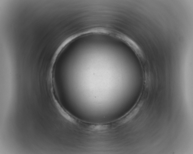 X0000113540808200909250925