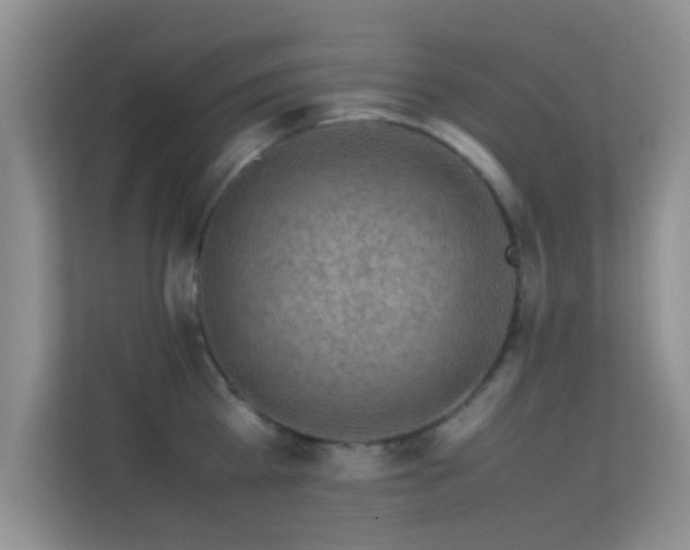 X0000113540809200909250925