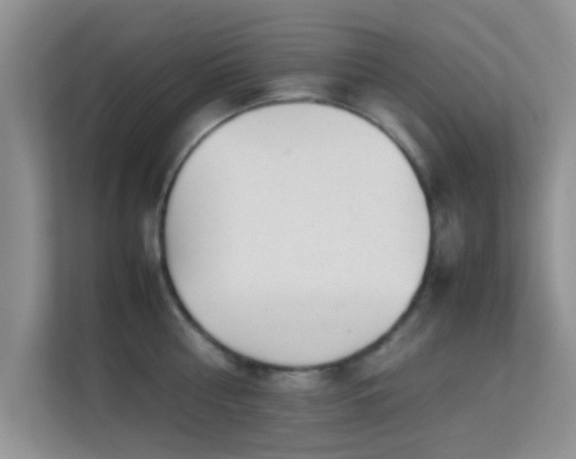 X0000113540810200909250925