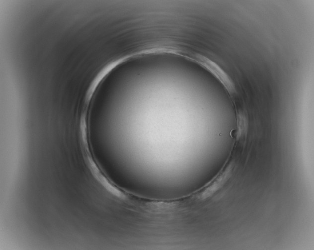 X0000113540812200909250925