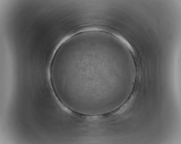 X0000113540813200909250925