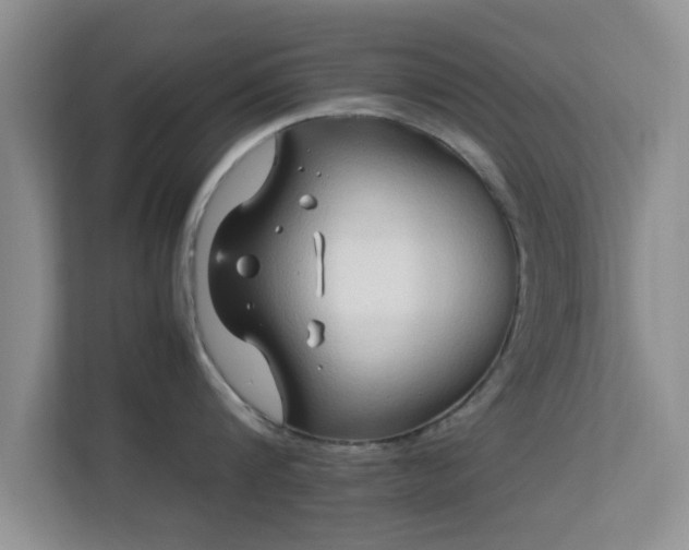 X0000113540816200909250925