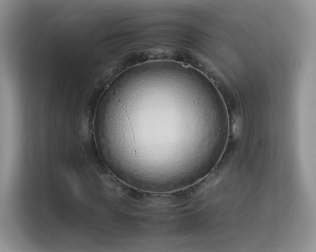 X0000113540819200909250924