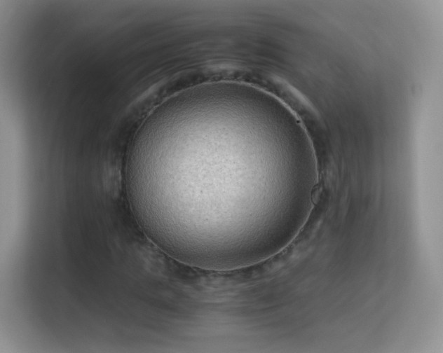 X0000113540821200909250924