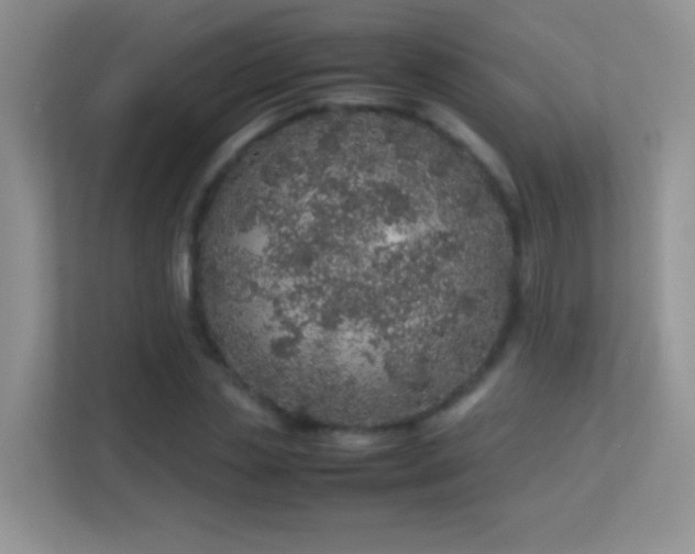 X0000113540829200909250924