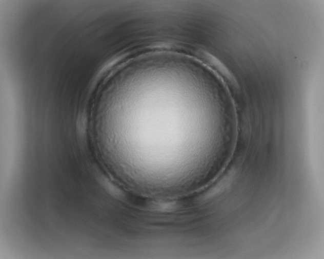 X0000113540831200909250924