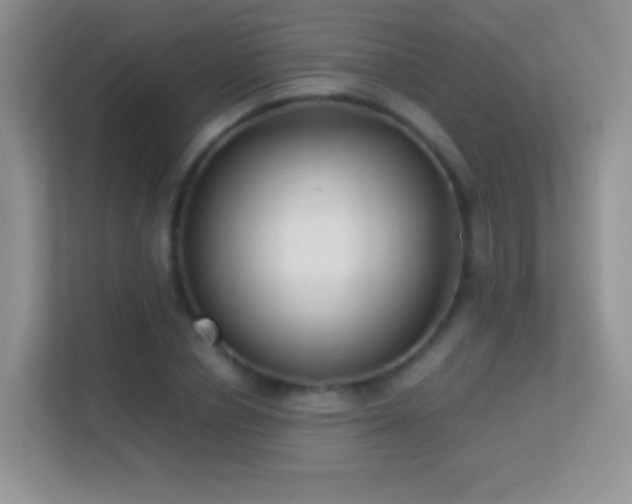 X0000113540834200909250924