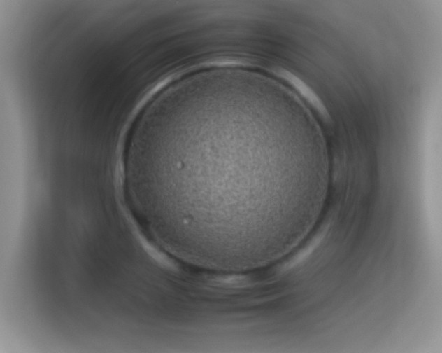 X0000113540837200909250924