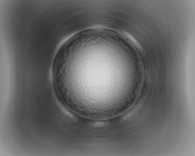 X0000113540839200909250924