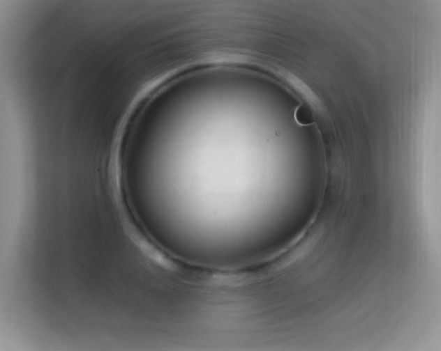 X0000113540840200909250924