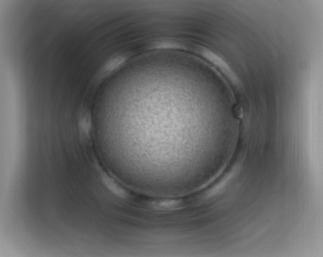 X0000113540841200909250924