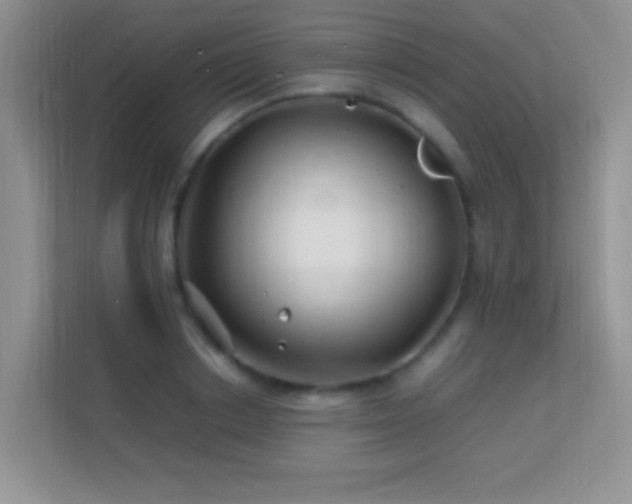 X0000113540842200909250924