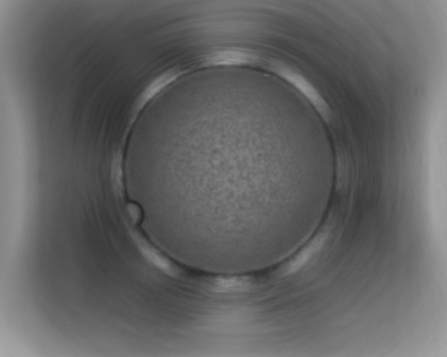 X0000113540850200909250925