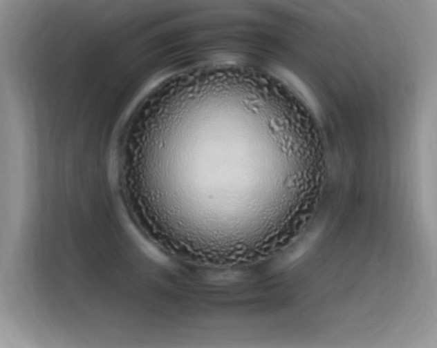 X0000113540851200909250925