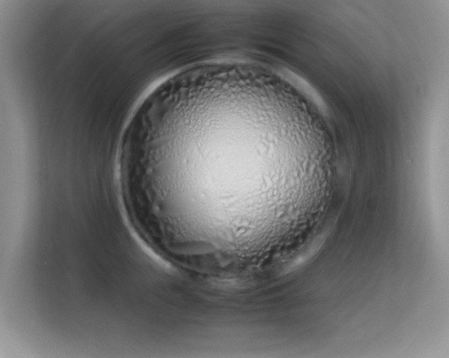 X0000113540855200909250925