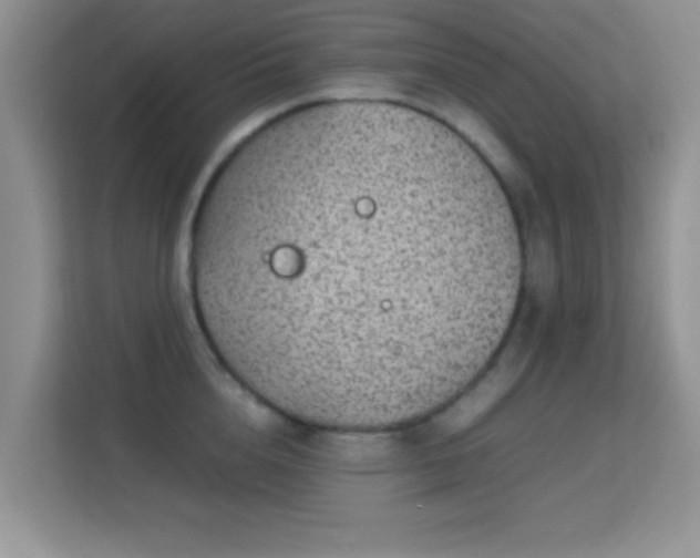 X0000113540856200909250925