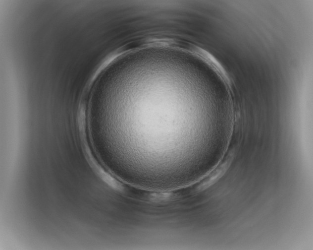 X0000113540859200909250925