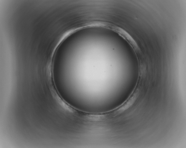 X0000113540860200909250925