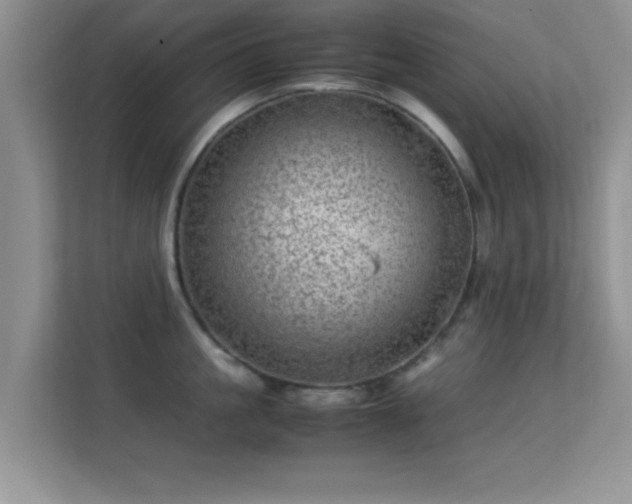 X0000113540861200909250925